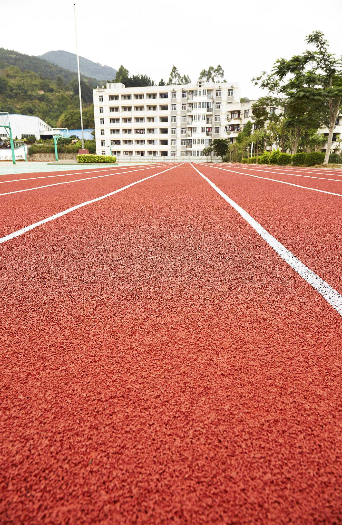 b体育网页版在线登录：塑胶跑道翻新技巧：从基础维护到全面翻新让你的跑道焕然一新！(图2)